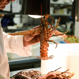 restaurant-l-adress-gastronomique