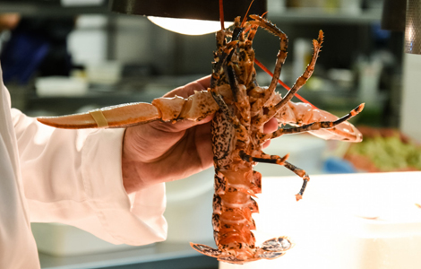 Les menus de saison de l'Adress